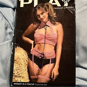 Fantasy Lingerie Red Gingham Costume Set